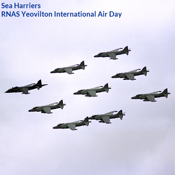 Sea Harrier - Yeovilton